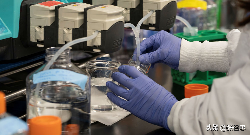 美国仍保持日增3万的速度，特朗普将预测死亡人