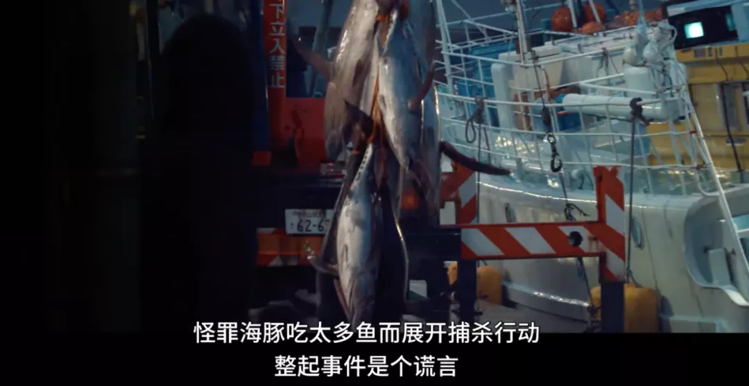 这新出顶级好片,每一帧都让我痛彻心扉