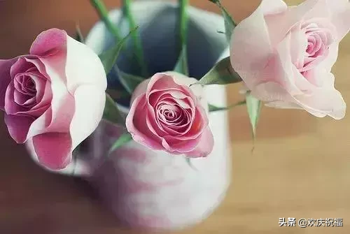 早安问候语简短一句话 早上好祝福短句子