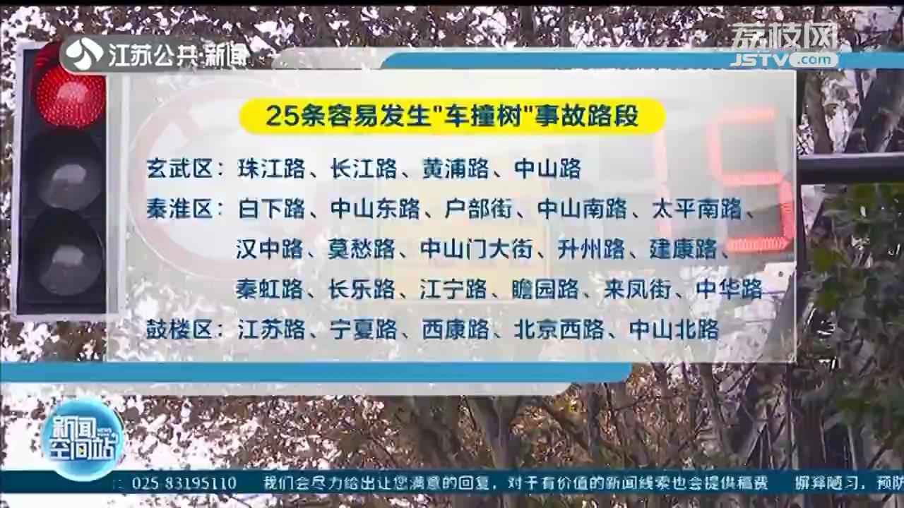 南京启动城市梧桐树守护计划 多项措施预防&ldquo;车撞树&rdquo;