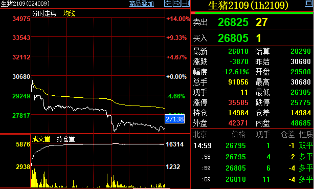 Hog futures came! Appear on the market first days to drop exceed 12% , investor is certain pork price can fall, bourse: 