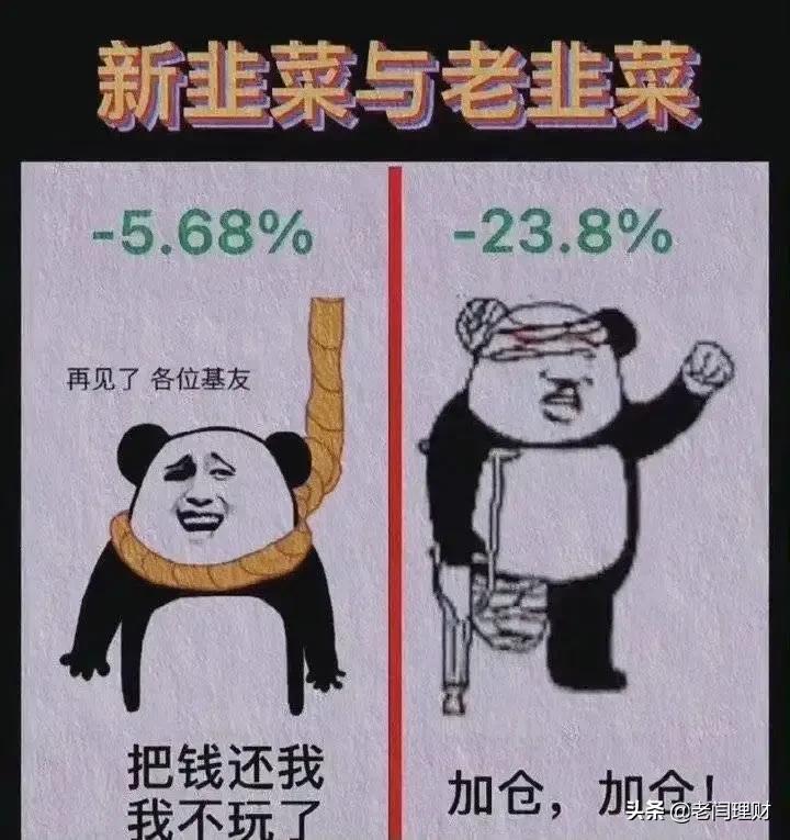 作为一个新手基民如果确定基金板块走势？怎么看盘？手把手教学中
