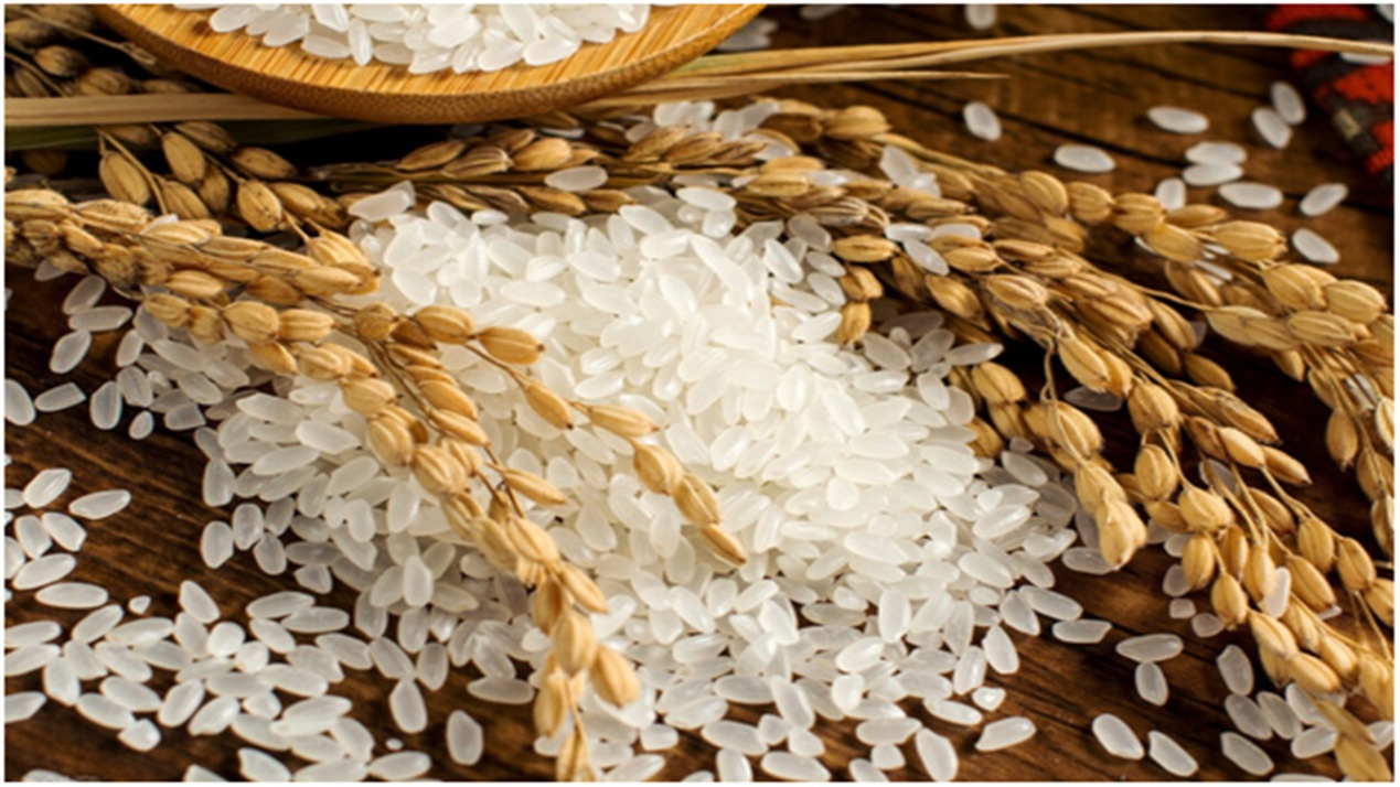 你家平时吃什么米，南方米还是北方米？长粒米还是圆粒米？