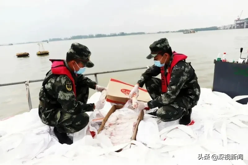 进口冷冻制品安全吗？安全！深圳多部门联动，将病毒拒之门外