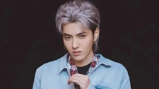 据爆吴亦凡妈妈半个月睡15个小时 到处求救 向成