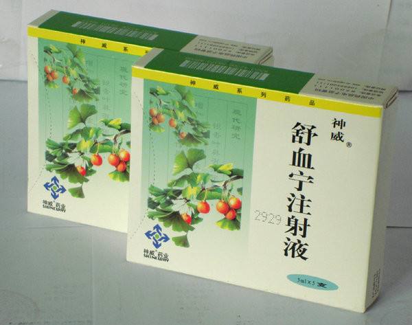 银杏叶提取物注射液