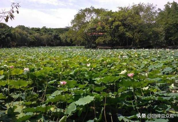 企业品牌推广需要注意什么关键要点，细节？