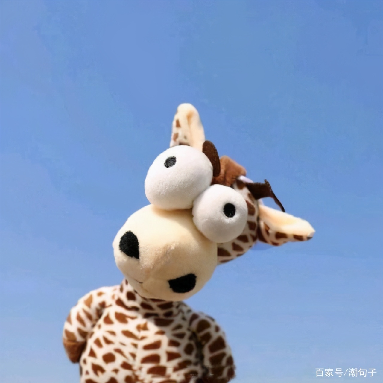 睡前一句话暖心话晚安 有气质女人晚安说说图片
