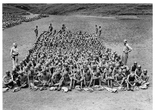 美国人披露：抗战时期，宋美龄说至少1400万新兵到部队前就死了