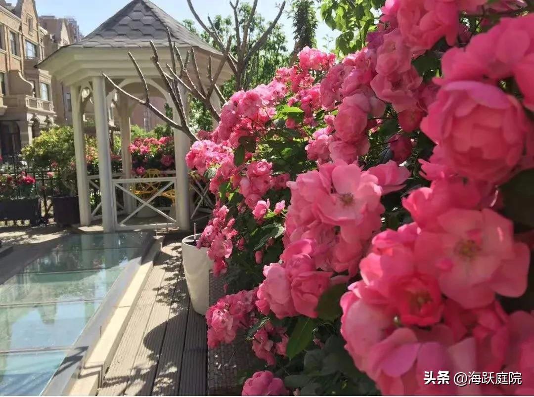 拥有这座浪漫欧式庭院，你就是全小区的焦点