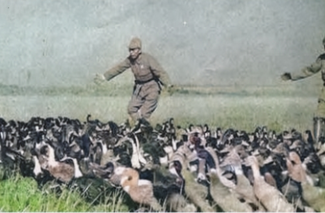 真实的鬼子进村是怎么样的?日军烧杀抢掠,电