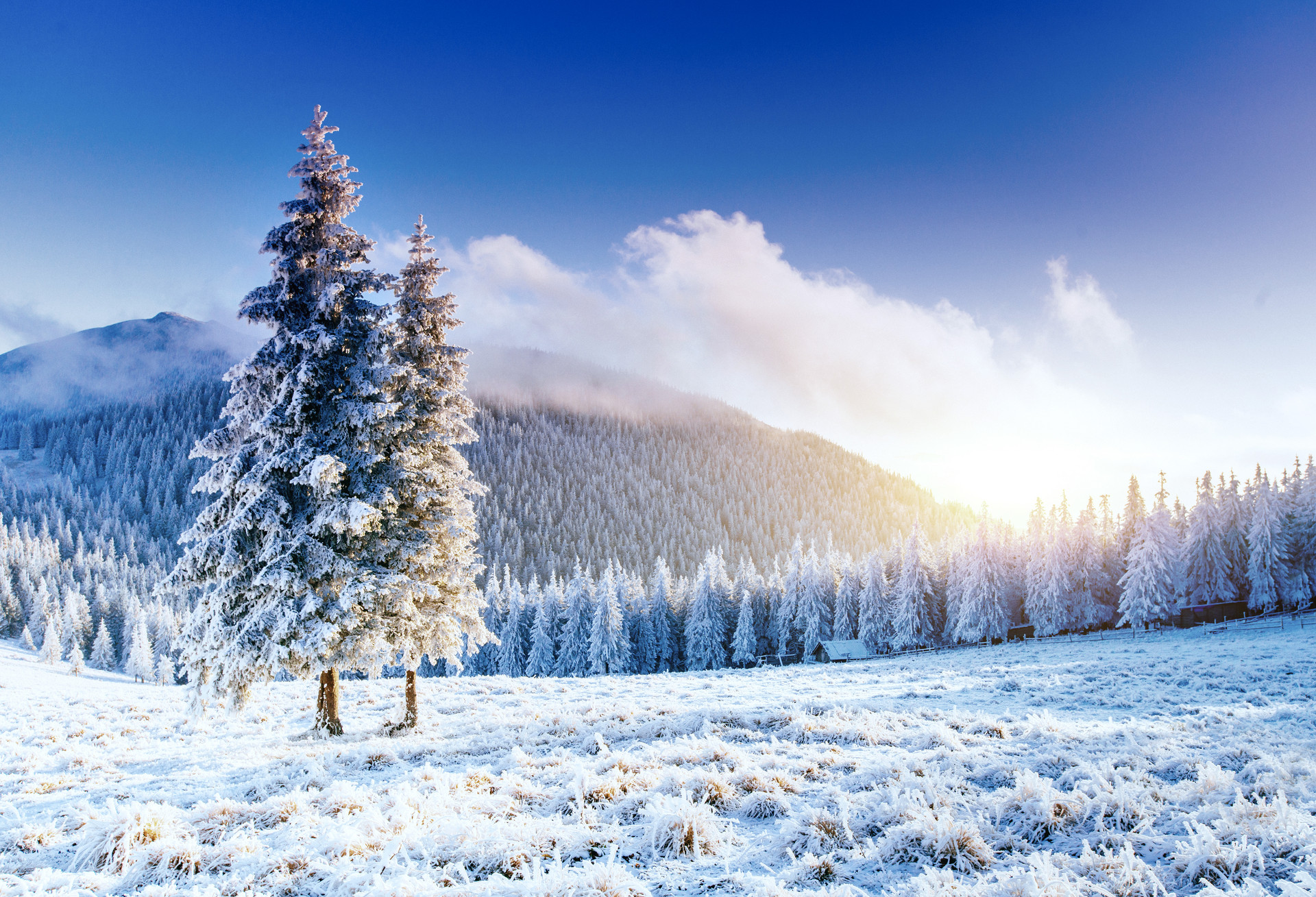 20首最经典的冬天诗词：踏着冬的脚步，品味古人笔下的冬天-第1张图片-诗句网