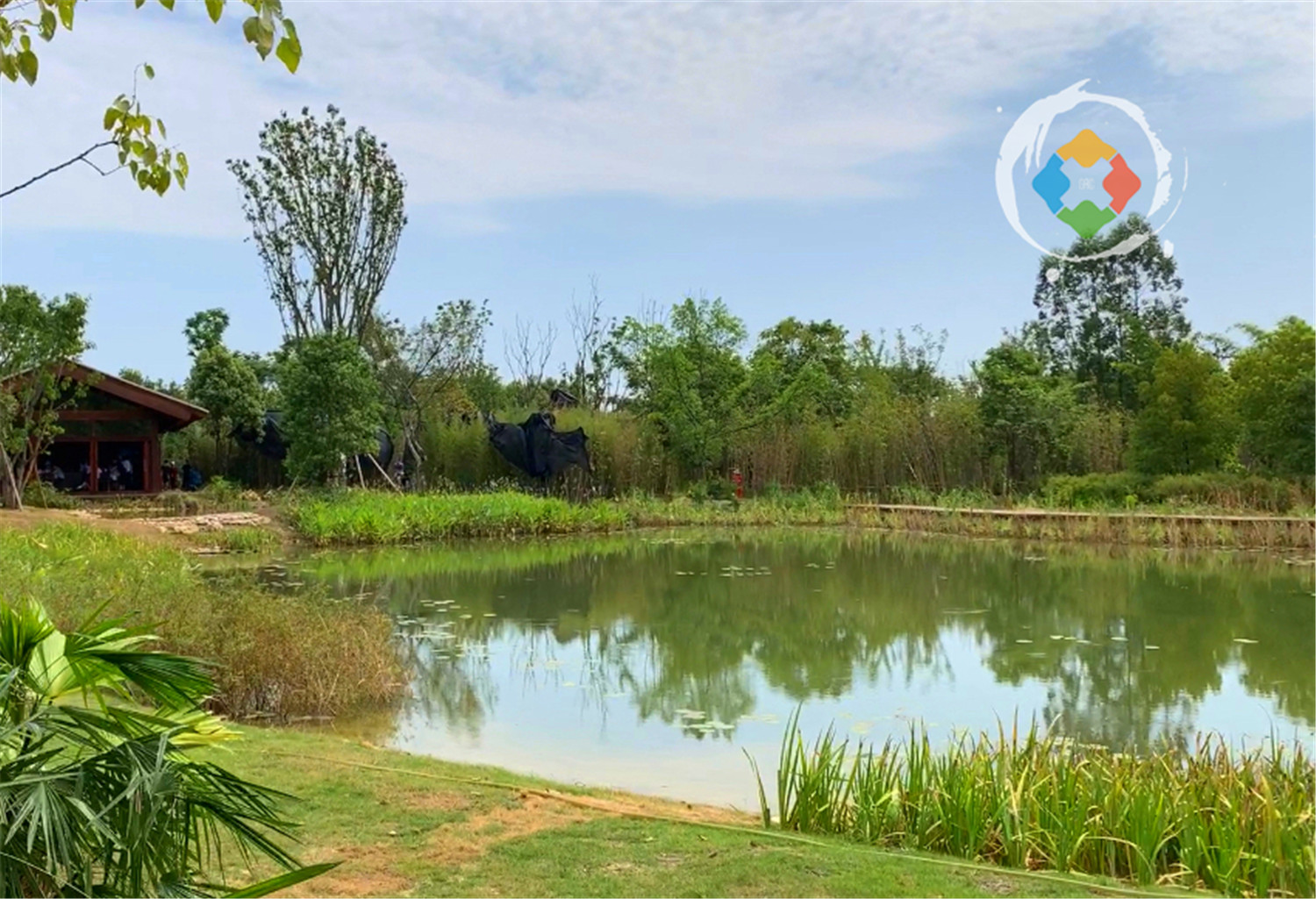 重庆广阳岛游玩攻略：一天逛完4大景点，美不胜收，拍照超好看