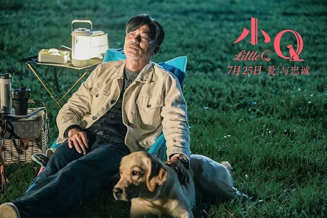 Those who touch 300 million people guide blind dog small Q, explain responsibility and faithful essence