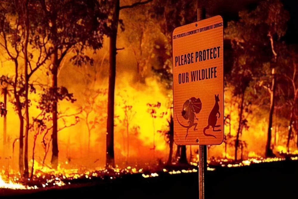 美军基地突然燃起熊熊大火！7000民众流离失所，