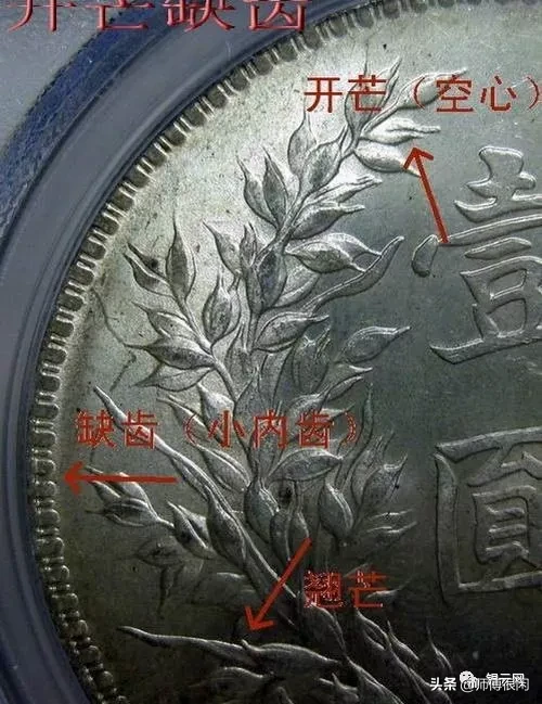 三年小嘉禾版又称三年九背