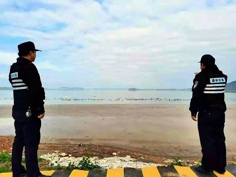 江西省彭澤縣公安局森林分局民警大年初一給候鳥“拜年”