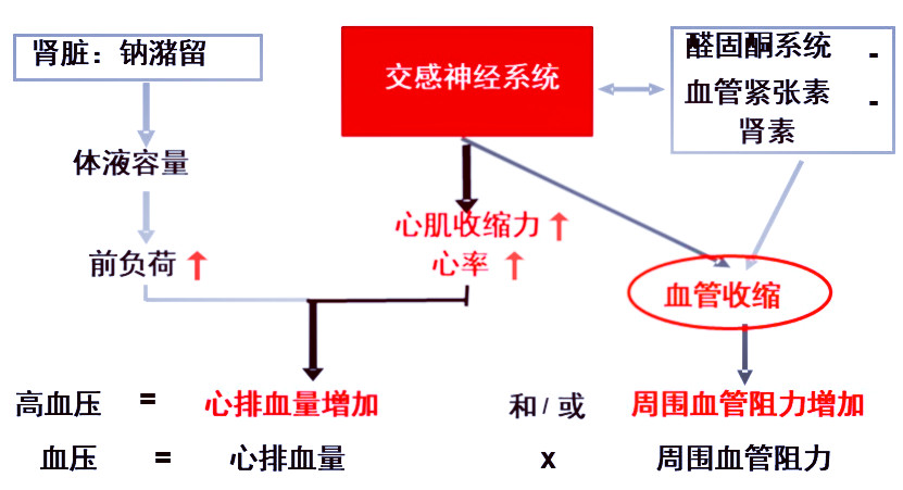 吃两种降压药比吃一种降压药更好吗？真相是这样的