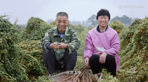 让纪录片参与全球产业竞争，视角要先“国际化