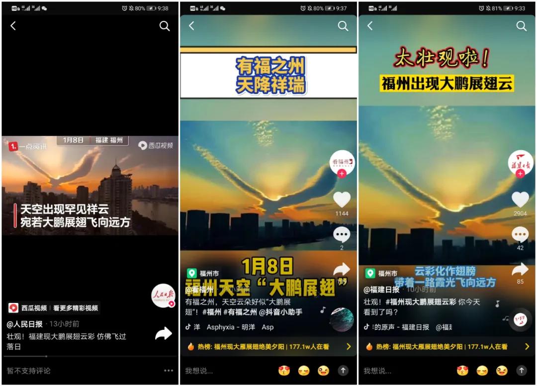 东方大鹏，鹏程万里｜欧洲杯买球网2021年再创辉煌