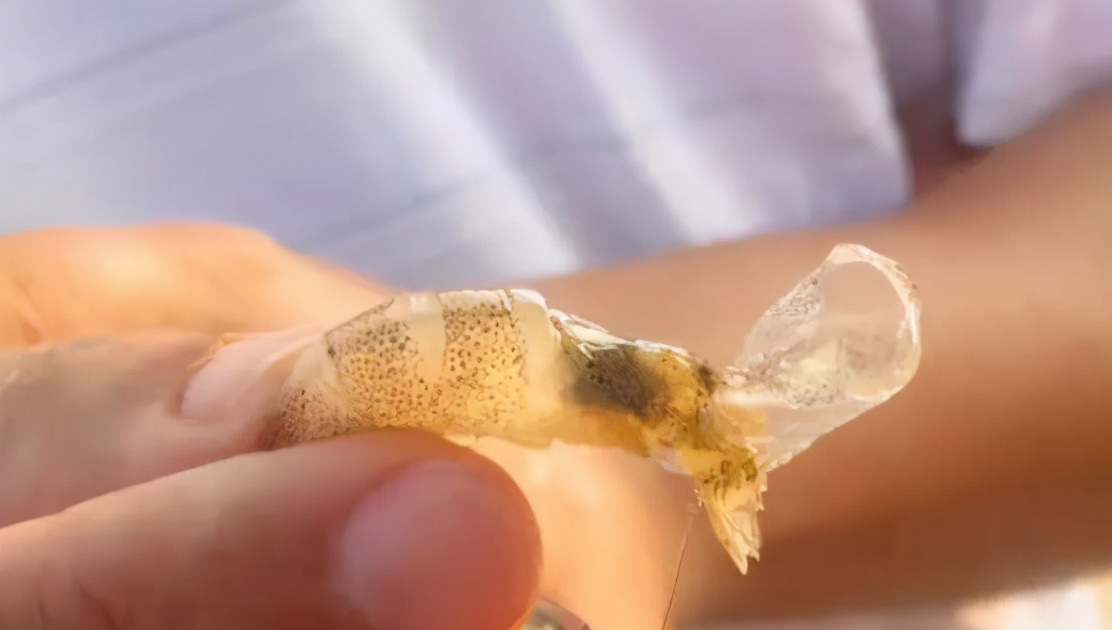 蜕壳，是养虾的生死关！如何保证虾顺利蜕壳呢？技巧都在这