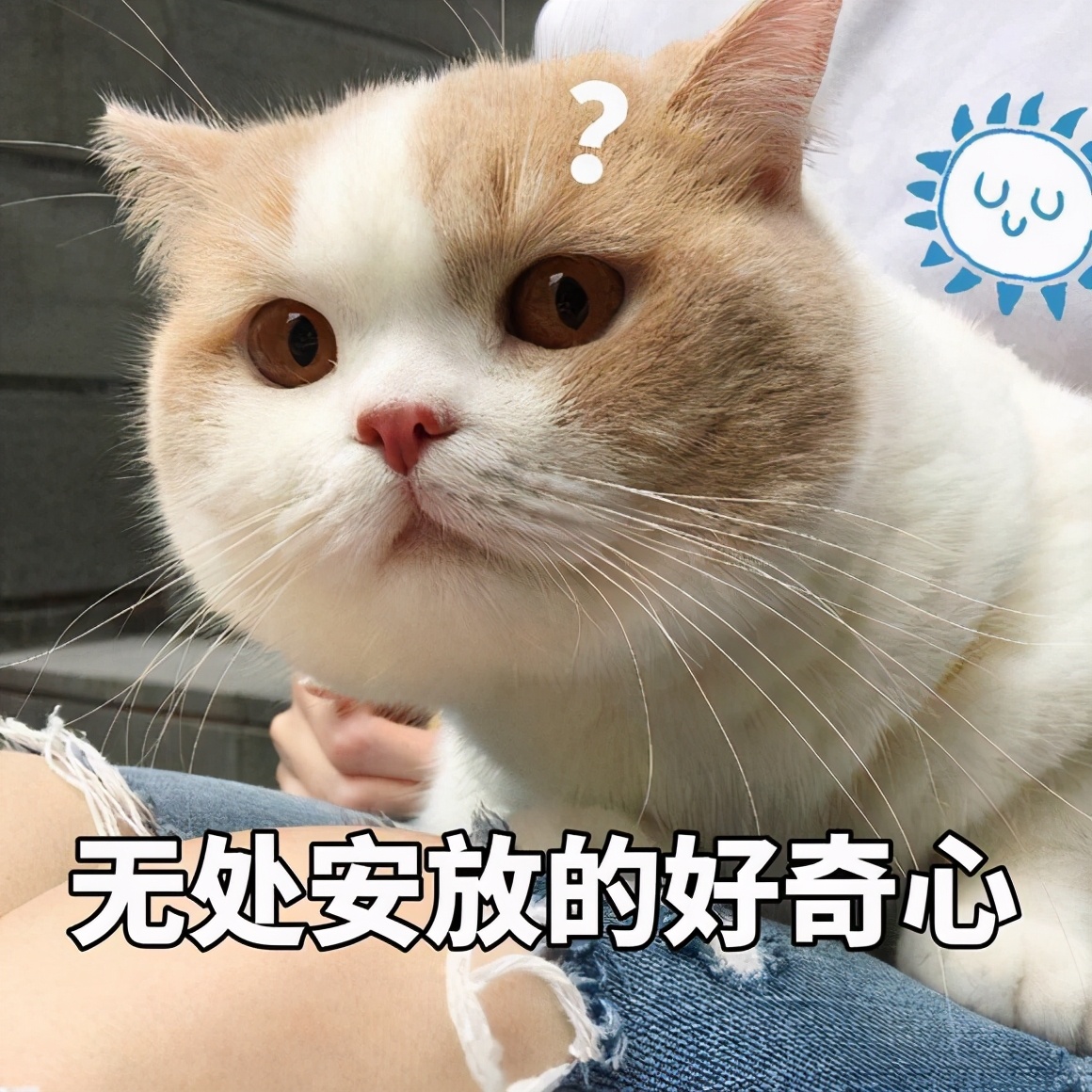 平均工资出炉！速来围观