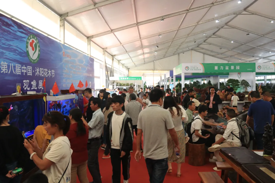 大饱眼福，第八届中国沭阳花木节竟如斯出色！你想看的全在这里…