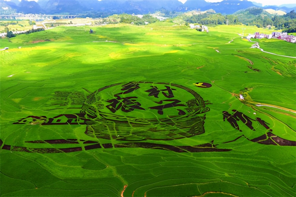 新一轮农业变革，上千万人返乡布局农村两大变化