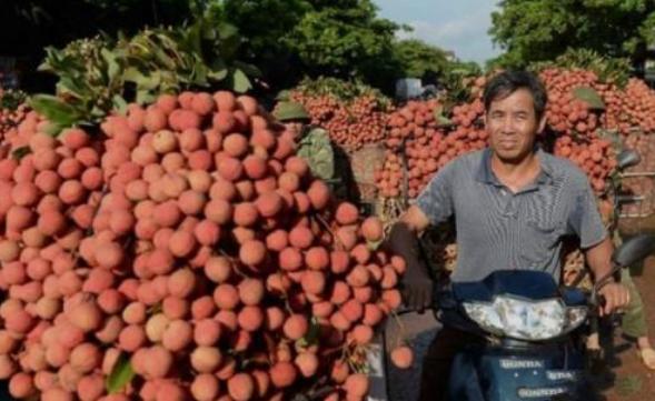 未经我国同意，2500辆卡车就运向中国？被拒后