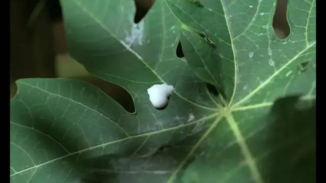 这CP何时能光明正大