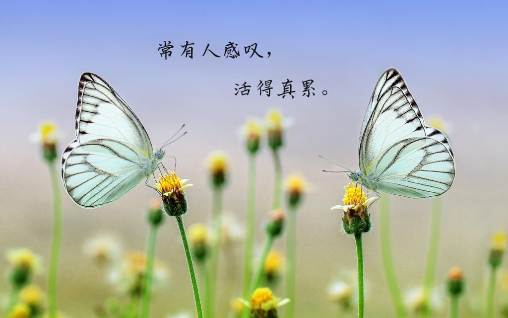 给蒙尘的心灵洗澡