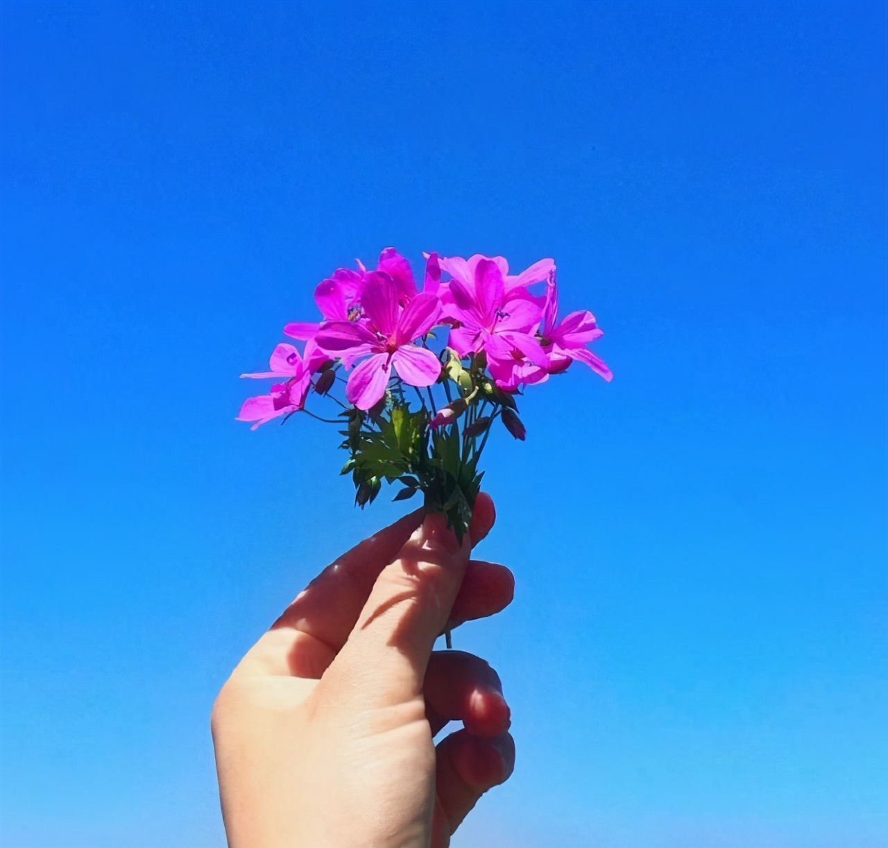 现实透彻的理性句子，充满哲理，魅力非凡-第3张图片-非凡网