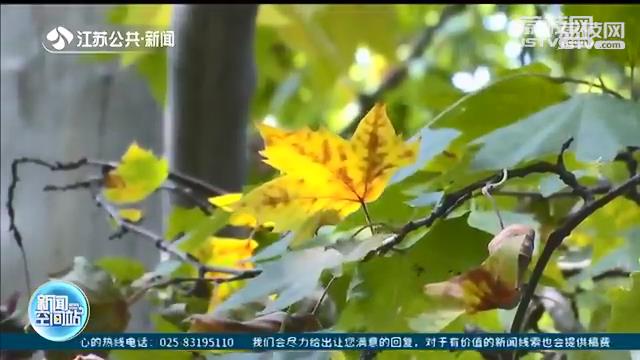 白露已至！江苏本周仍有30℃以上高温