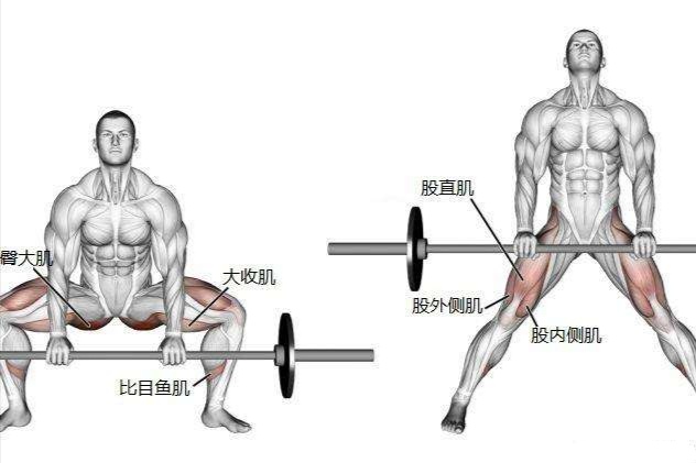 男生臀部怎麼練？幾個動作幫你強化臀肌，練出好看的臀部線條