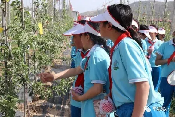 平凉市实验小学开展课后服务告家长书(图4)