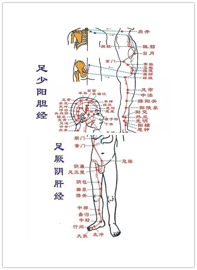 身体小毛病,按压8穴1经,帮助你预防小病变大病-第6张图片-农百科 身体小毛病,按压8穴1经,帮助你预防小病变大病-第6张图片-农百科