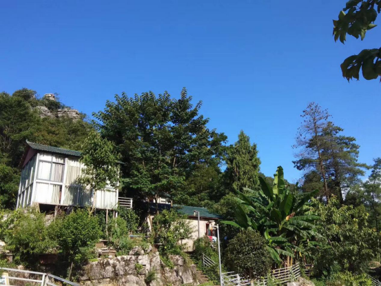 云南省罗平县：“赏花经济”带活乡村旅游