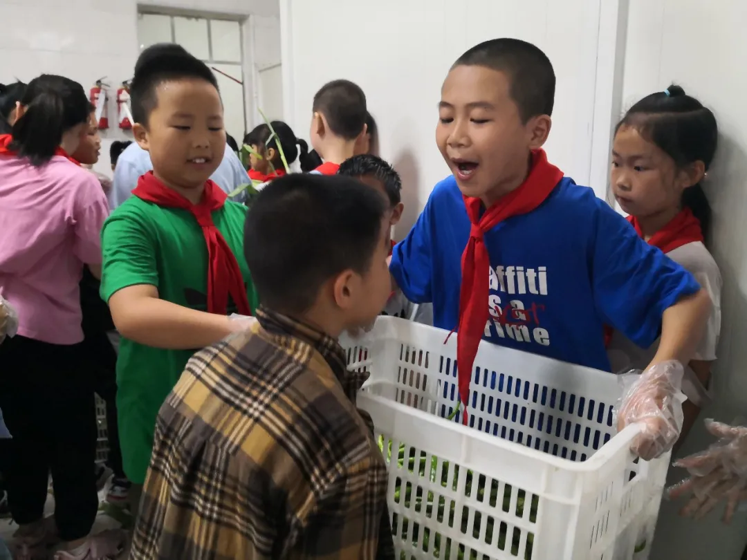 欢乐与泪水——万安小学4.1中队走进厨房学习生活技能
