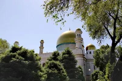 寺为什么叫寺,庙为什么叫庙,寺和庙有什么区别?