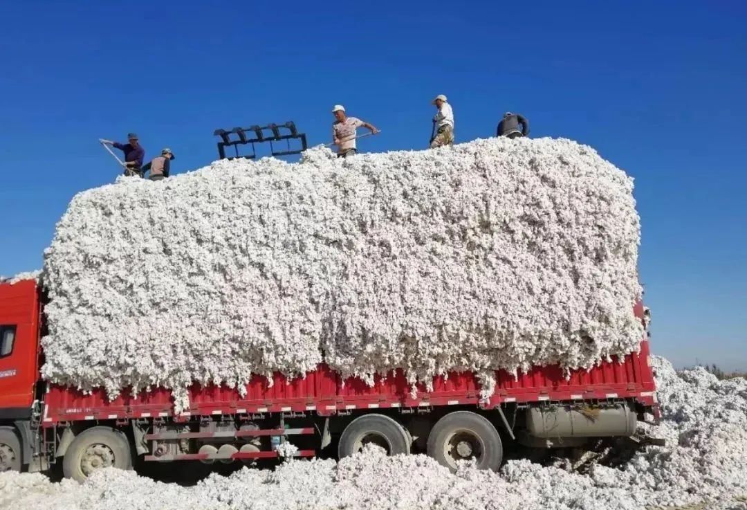 支持新疆棉花，呼吁大家参与旧衣服回收