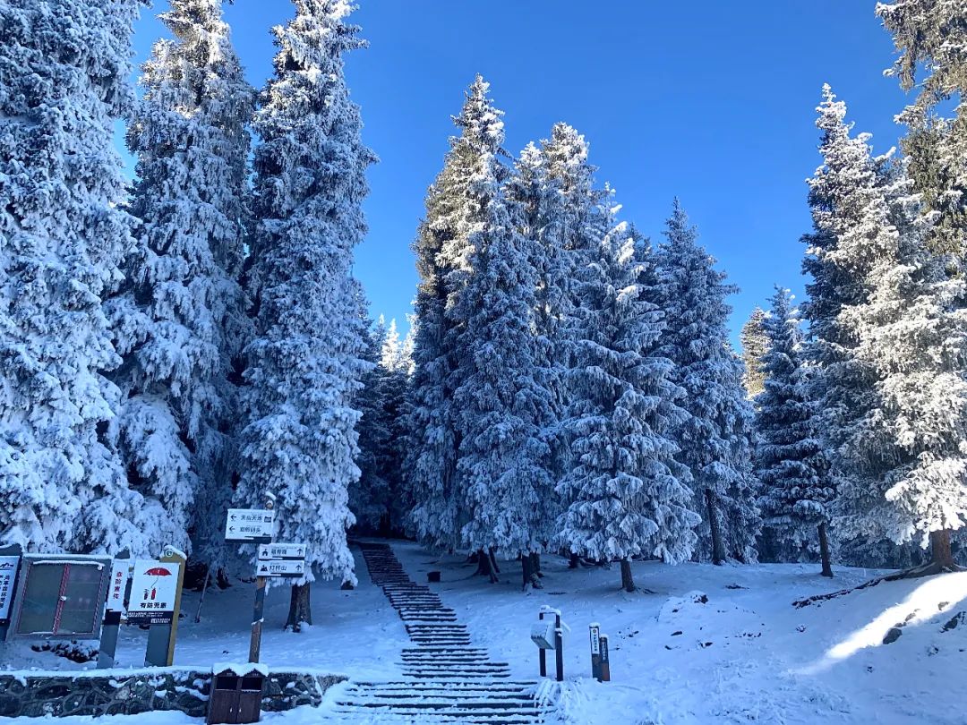 真實的新疆火上熱搜 上億網友聲援 你對神祕的新疆一無所知 小五哥的聲音 Mdeditor