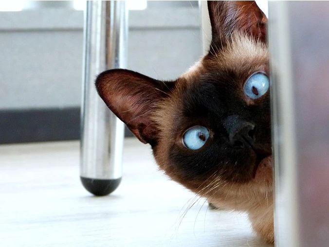 楼市变脸 穷人买房更难了！