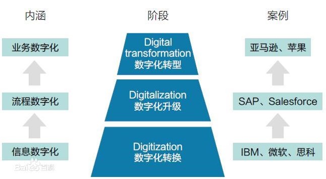 企业数字化转型需要什么样的人才？