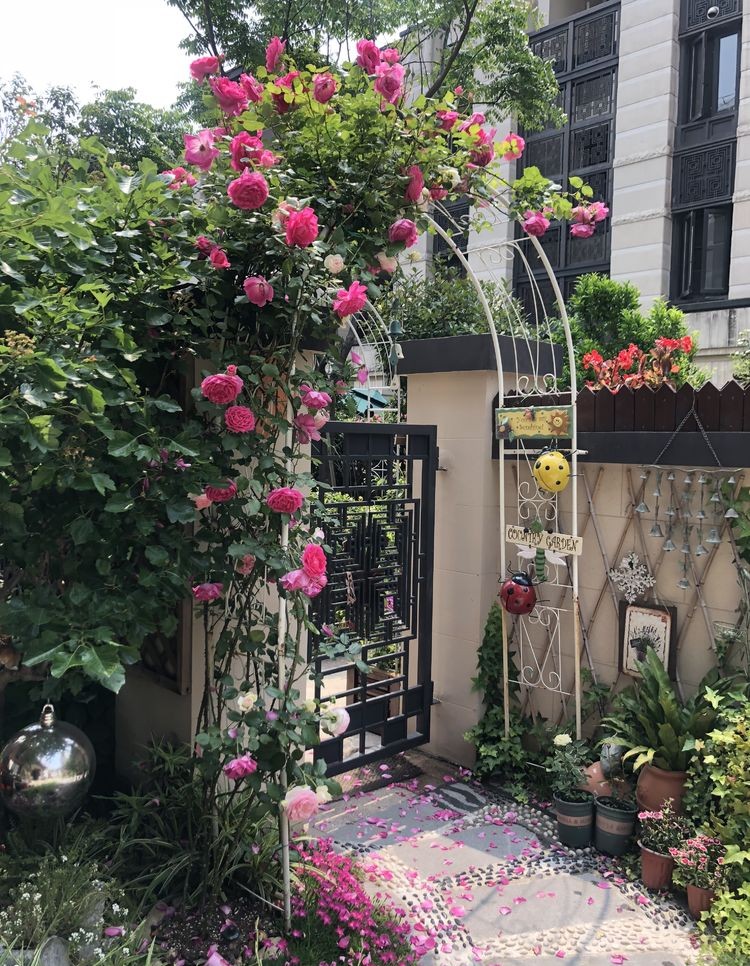 DIY打造65㎡庭院花园，累并快乐着，网友：做你邻居太幸福了