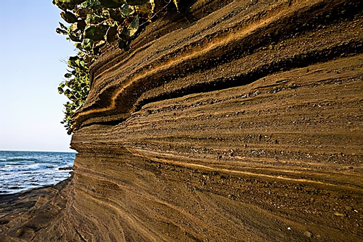 石油枯竭是骗局？地球碳储量有1.5亿亿吨，哪来这么多生物尸体-第8张图片-大千世界