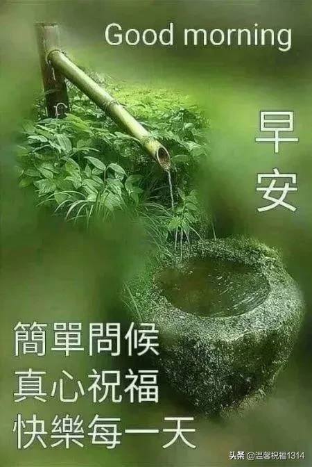 空气透着新鲜，阳光洒下温暖，愿你好心情陪伴，分分秒秒顺利平安