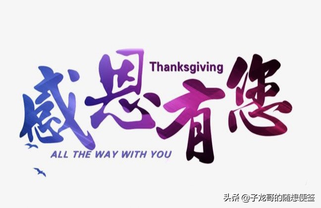 子龙哥:九零后回乡创业，想成为本区域网红，就得这么干！