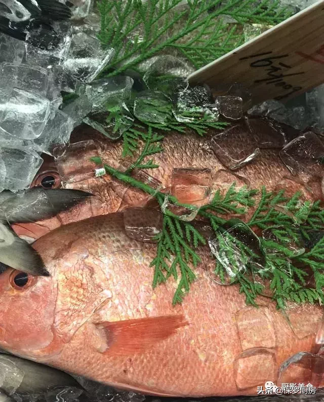 史上最全的顶级“海鱼”海鲜大全,全吃过的你人生就到达了巅峰!