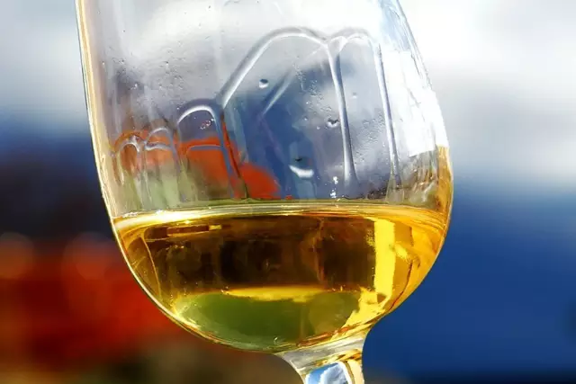 葡萄酒行话：酒腿、酒脚、酒泪和挂杯