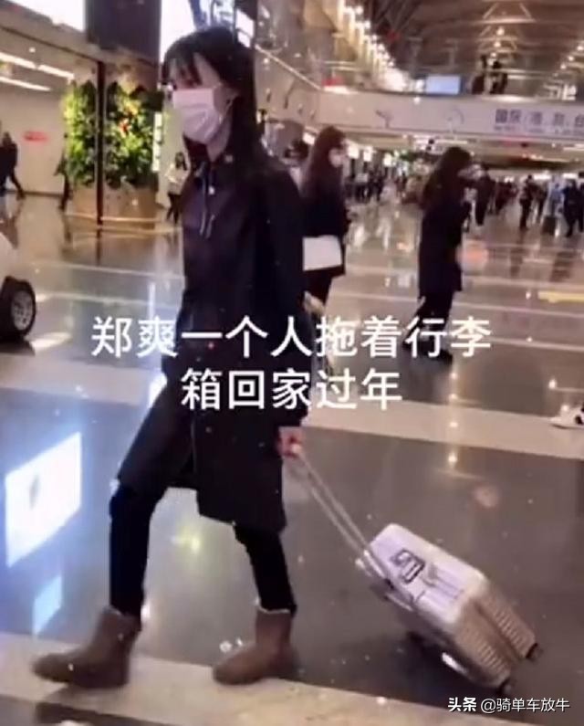 After disturbance of '' of acting pregnant of Zheng Shuang '' first degrees show a body, will after be being banned in the round, have reappear plan? 